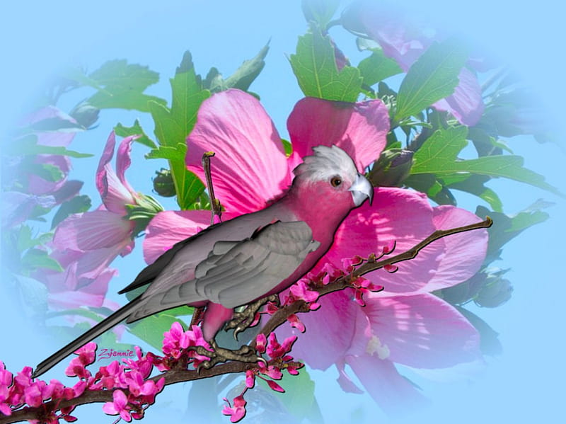 PINK PARROT, colorful, tree, flowers, parrot, branch, pink, HD wallpaper