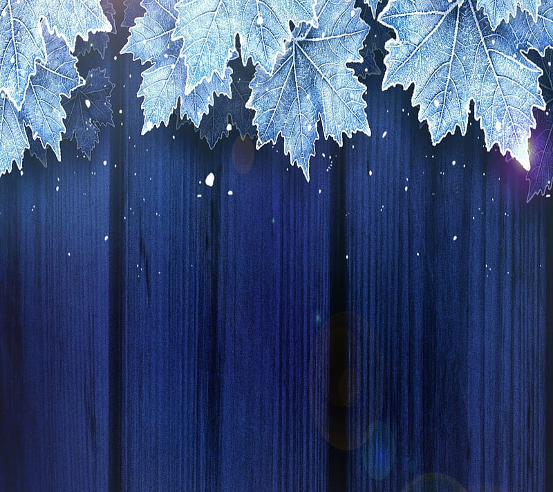 Frozen Leaves, HD wallpaper