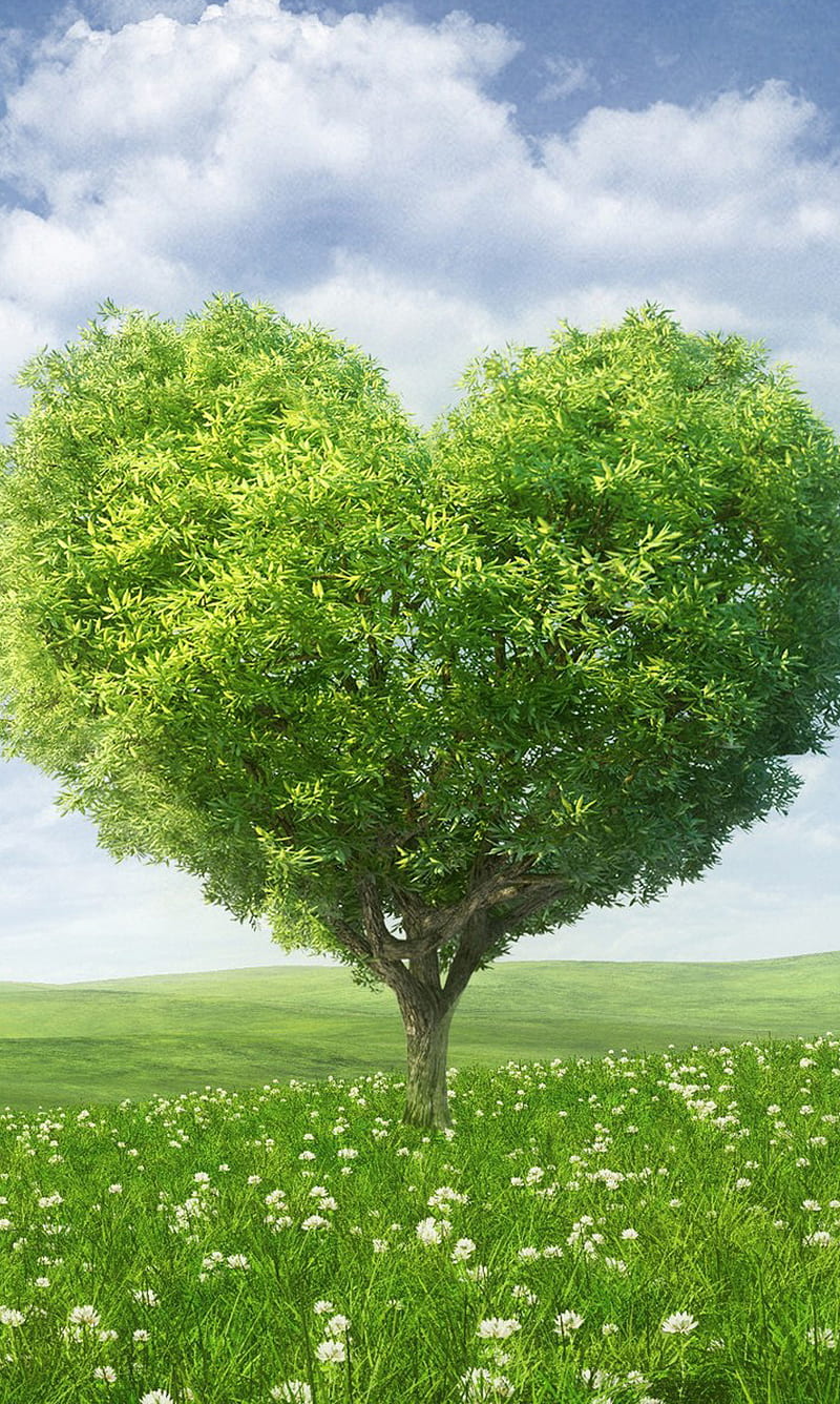 Tree Field, heart shaped, landscape, nature, HD phone wallpaper