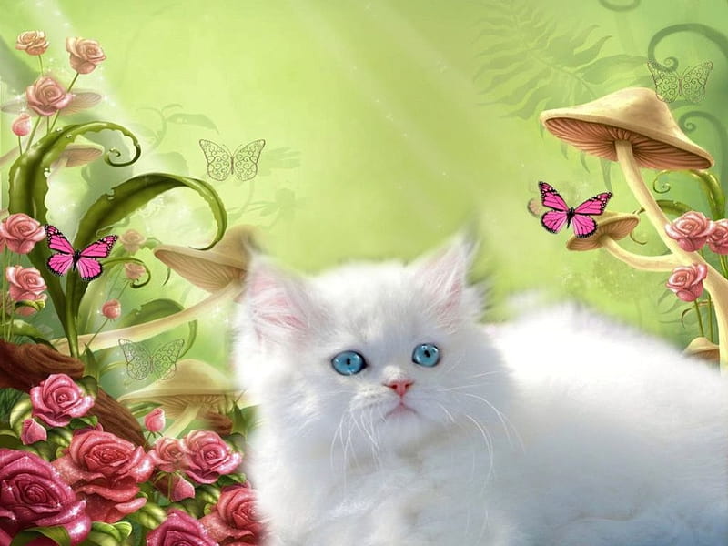 Kitten, green, rose, flower, mushroom, cat, pisici, white, fantasy, HD wallpaper