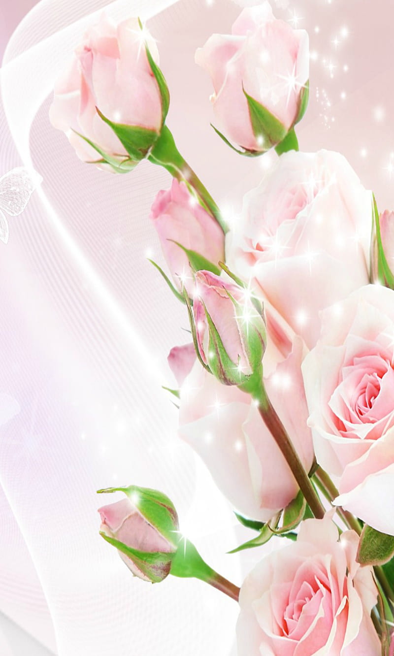 Roses So Pink, pin, HD phone wallpaper | Peakpx