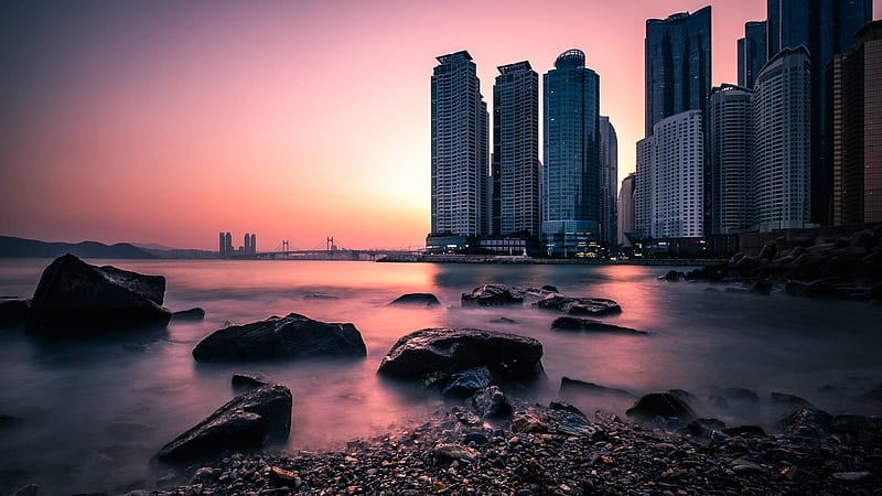 Busan sunset, cool, ocean, Busan, nature, sunset, fun, skyscrapers, HD wallpaper