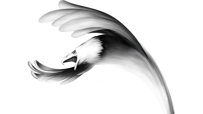 águila que fluye sobre blanco, pájaro, abstracto, tema de firefox,  artístico, Fondo de pantalla HD | Peakpx