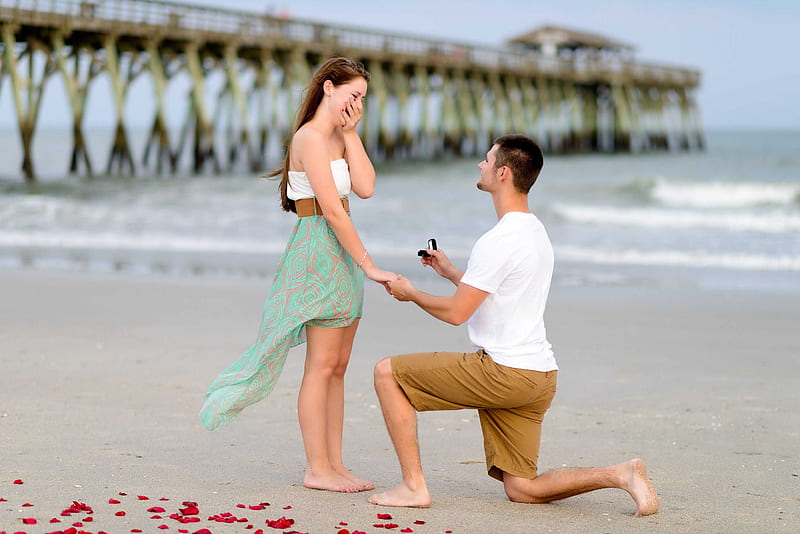 Having a Proposal, Love, Couple, Flowers, Kneel, HD wallpaper