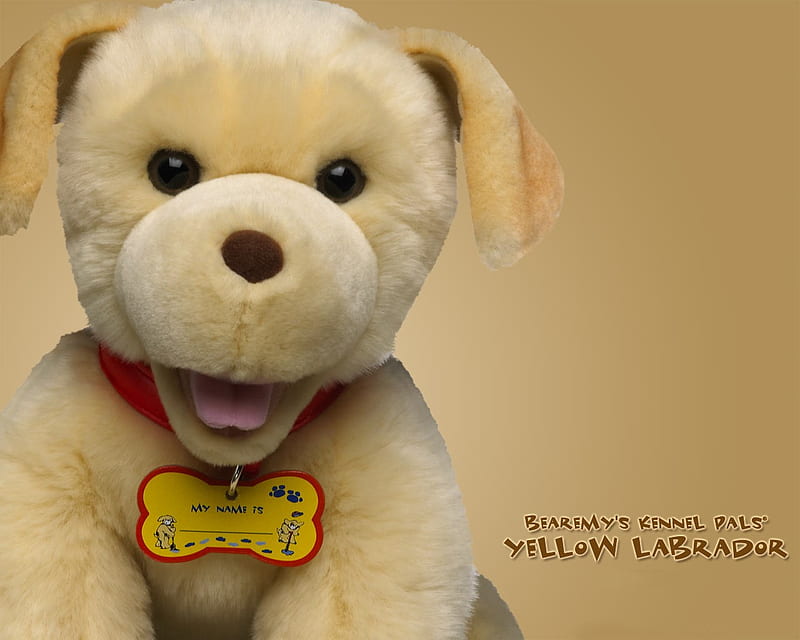 yellow labrador, cuddly toy, animals, puppy, dog, HD wallpaper