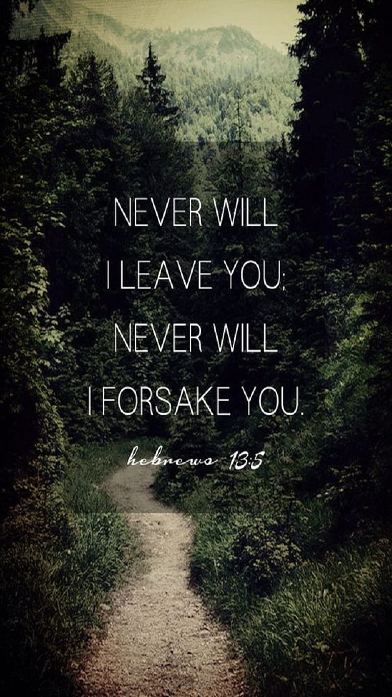 God Never Forsakes, bible verse, bible verses, christian ...