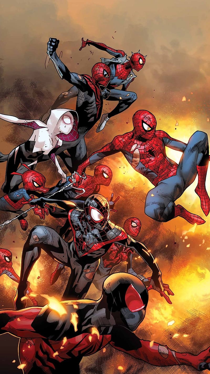 Spider Man, Universe, marvel, animated, superhero, character, HD phone wallpaper
