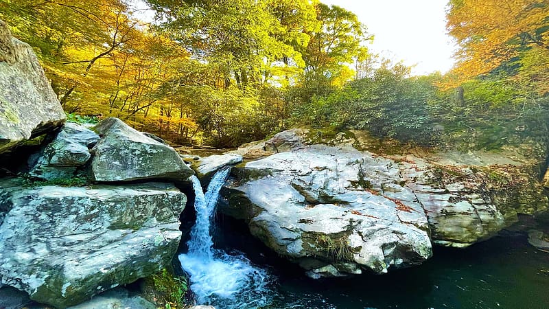 Trash Can Falls, North Carolina, river, leaves, landscape, trees, autumn, rocks, cascade, usa, HD wallpaper