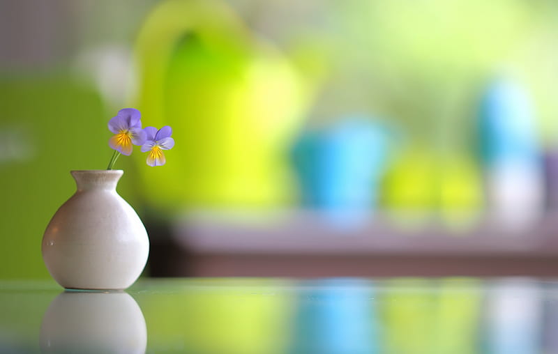 Man Made, Flower, Pansy, Vase, Violet, HD wallpaper