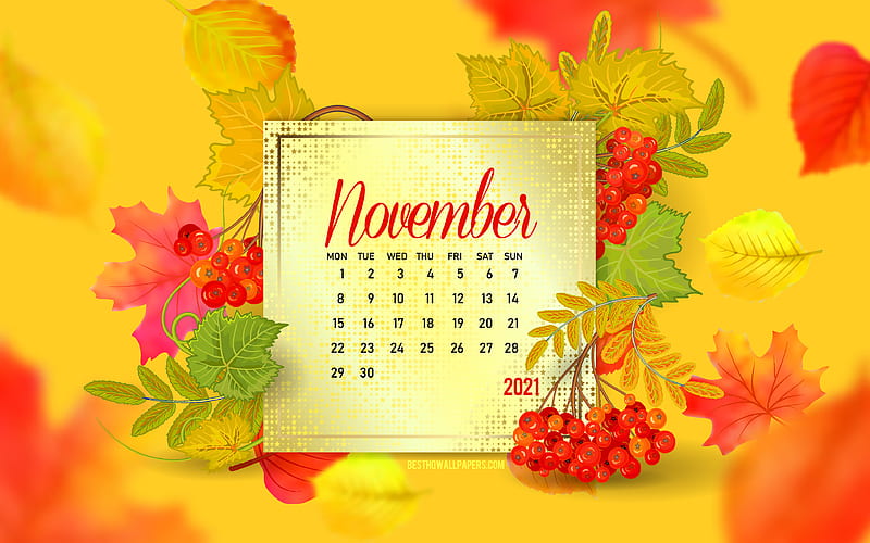 Calendario de noviembre 2021, de otoño, hojas de otoño, calendario de  noviembre de 2021, Fondo de pantalla HD | Peakpx