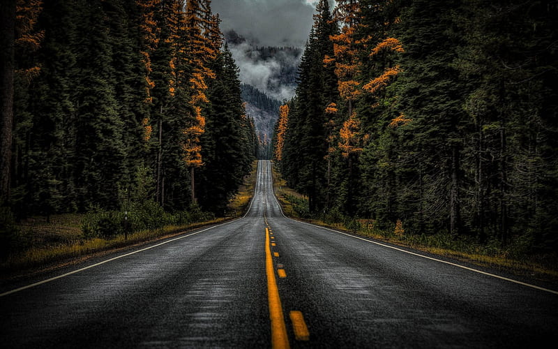 asphalt road, forest, highway, USA, Mountain, HD wallpaper