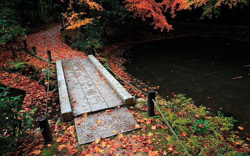 Slate bridges-Enkoji Temple Autumn, HD wallpaper