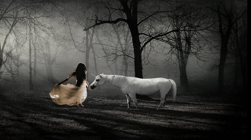 ✿⊹⊱, hourse, alone, lovely, her, gil, white, night, women, HD