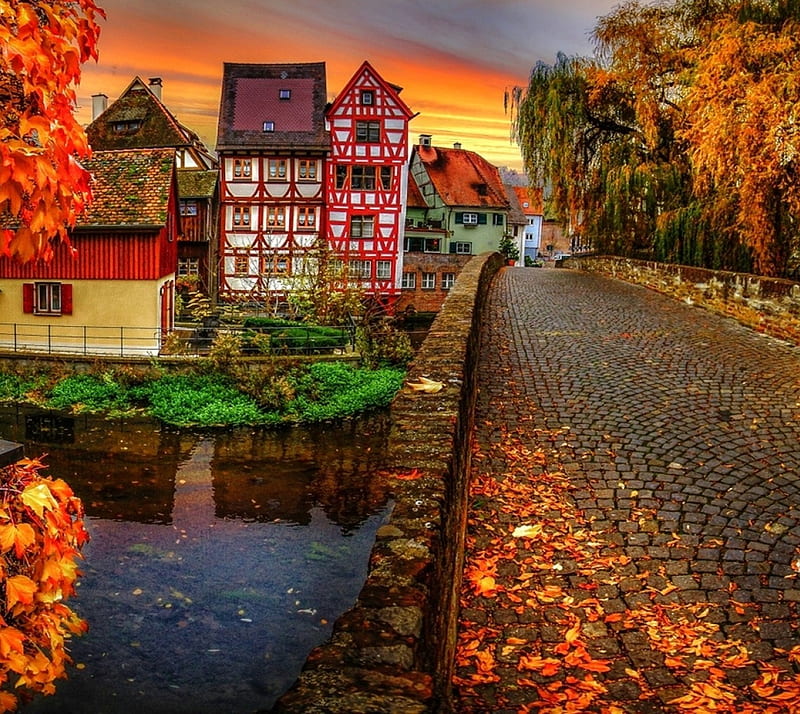 Autumn Color, bridge, city, nature, HD wallpaper