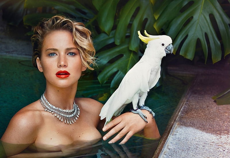 Jennifer Lawrence, pretty, female, bonito, parrot, woman, pool, elegant, graphy, girl, bird, actress, HD wallpaper