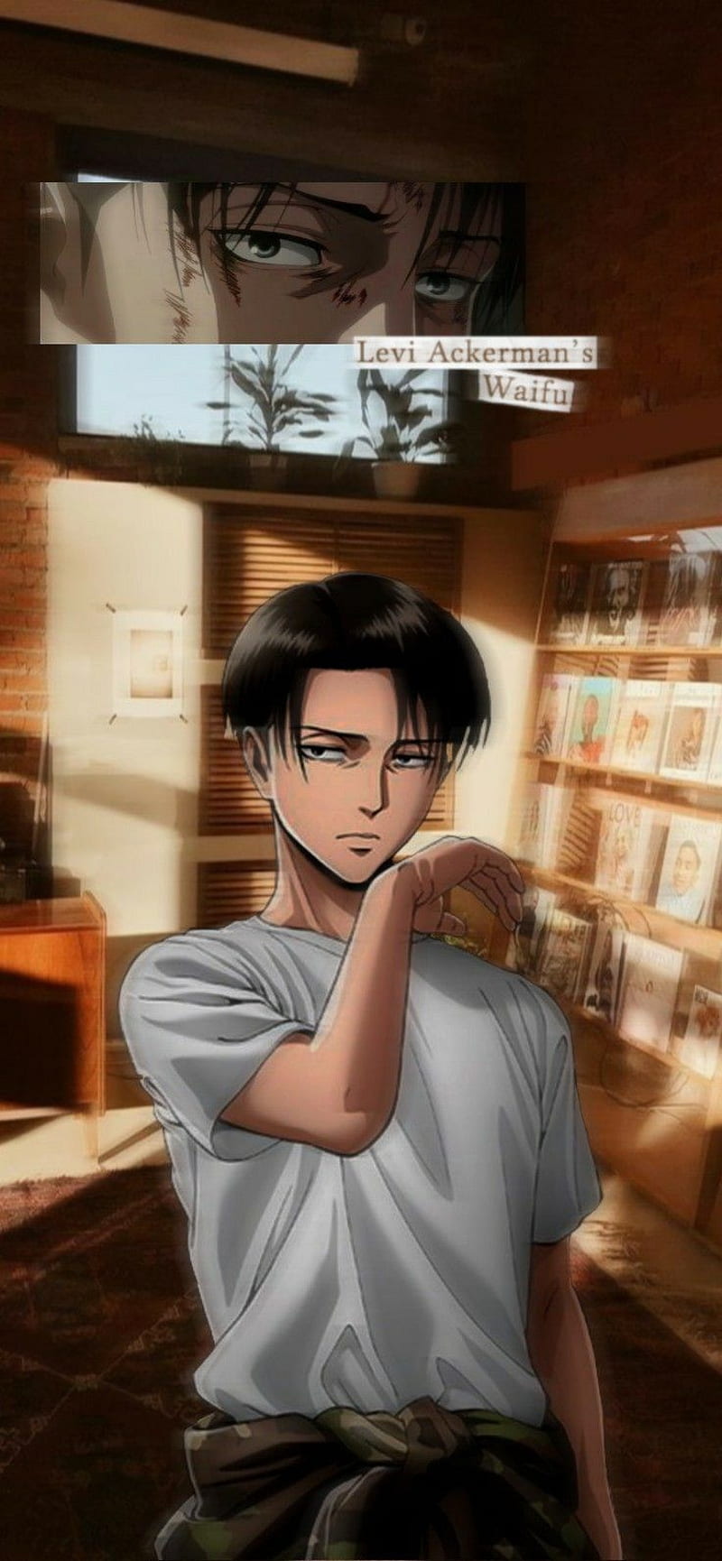 Aesthetic levi Attack on