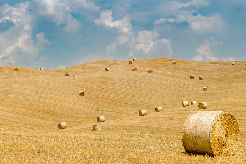 field, straw, bales, hills, landscape, HD wallpaper