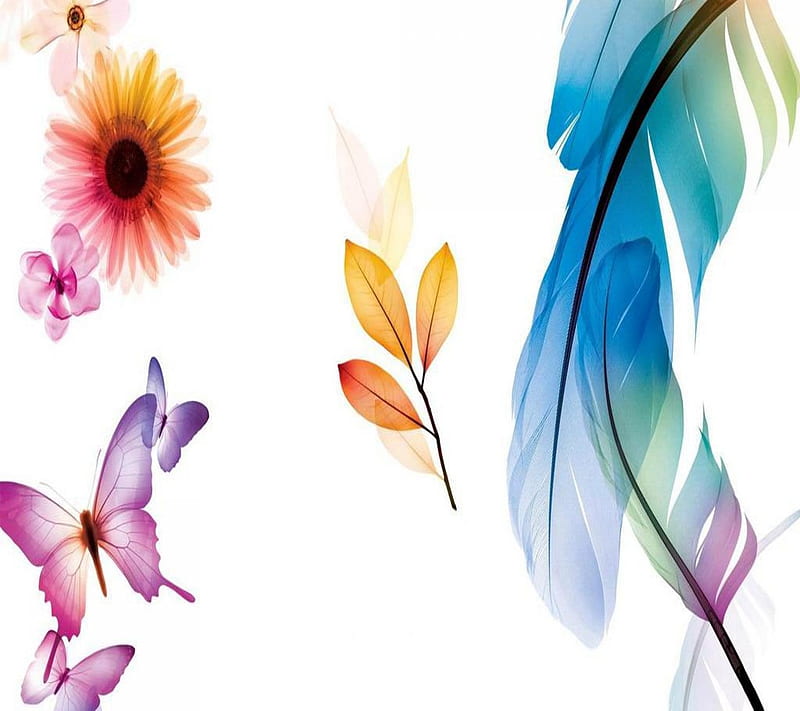 feather desgin, art, background, butterfly, cool, desenho, flowers, nice, HD wallpaper