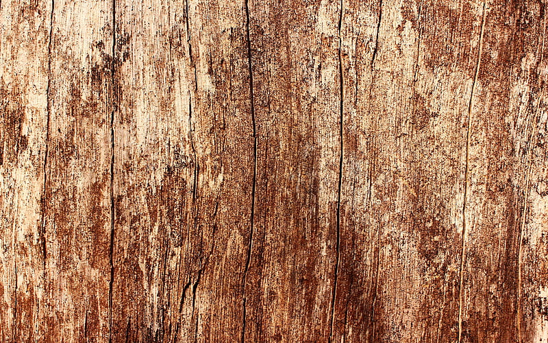brown wooden texture close-up, wooden backgrounds, macro, wooden textures, brown background, brown wood, HD wallpaper