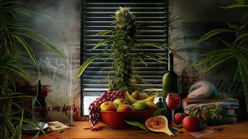 healthy diet, fruit, wine, plant, color, drink, nature, HD wallpaper