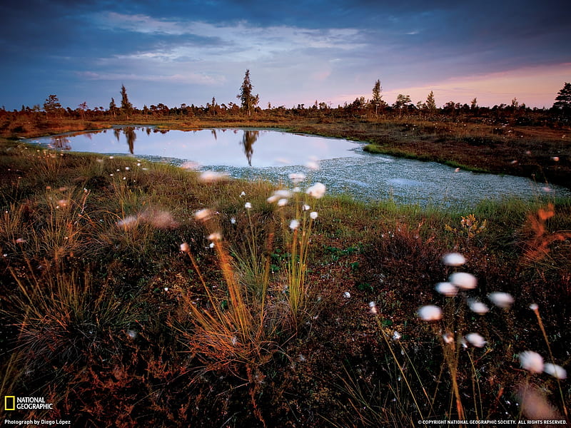 Kemeri National Park Latvia-National Geographic magazine graphy, HD wallpaper