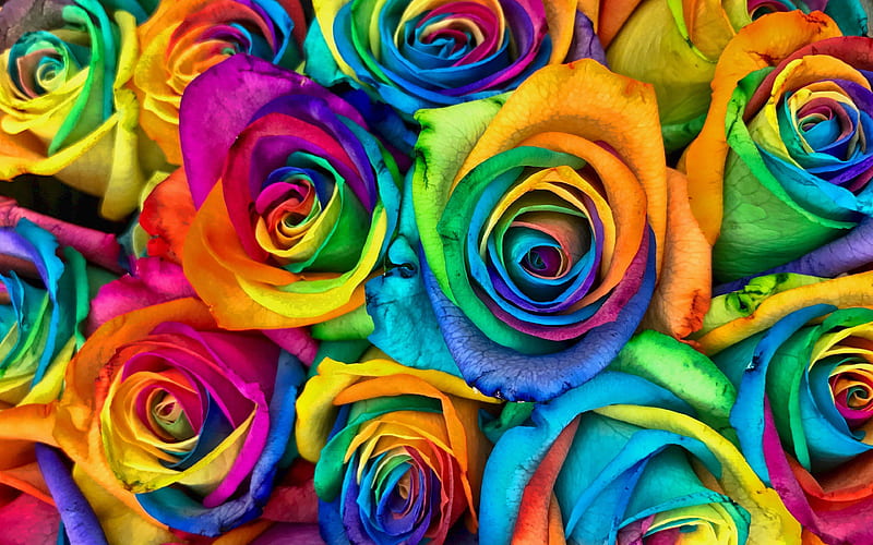 colorful roses bouquet rainbow, bouquet of roses, bokeh, colorful flowers, roses, buds, colorful roses, beautiful flowers, backgrounds with flowers, colorful backgrounds, HD wallpaper