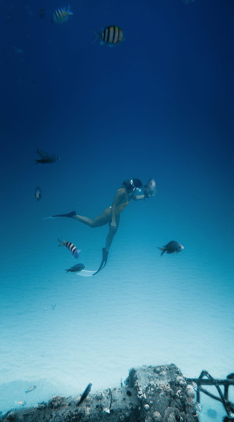 Deep Diving, Tupac2x, bonito, beauty, cold, cuba, diver, girl, sexy, water, HD phone wallpaper