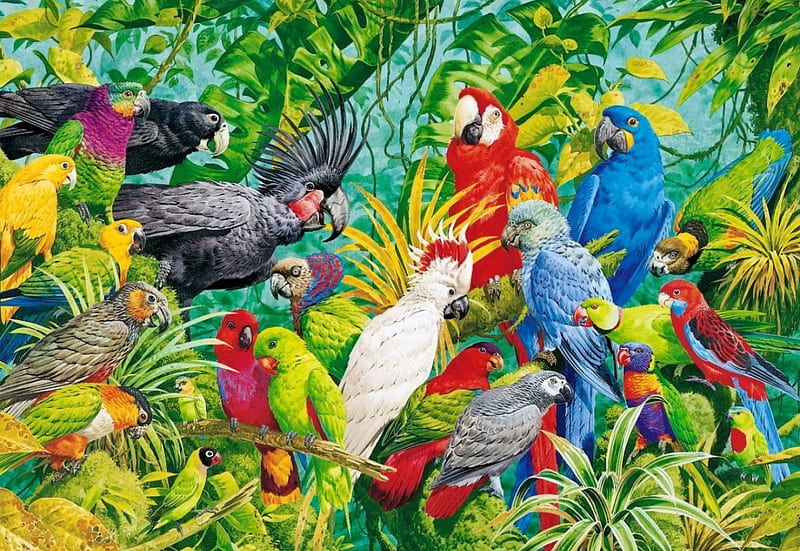 Exotic birds, colorful, pretty, tree, exotic, leaves, birds, bonito, parrots, HD wallpaper