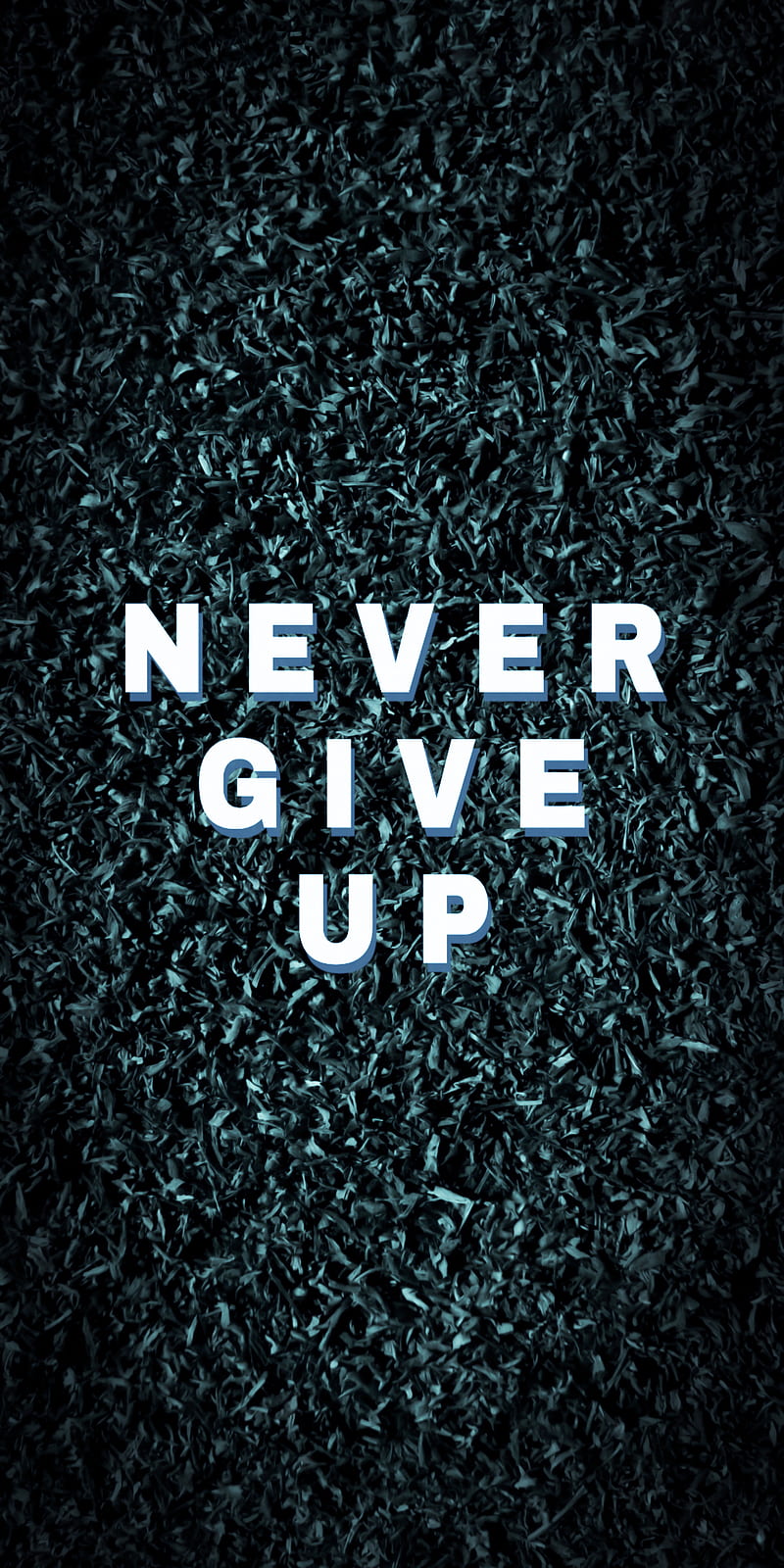Never give up , full screen, never give up, HD phone wallpaper