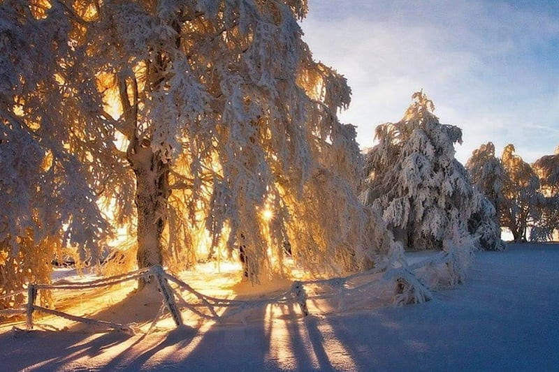 Magic Winter, de, un, soare, iarna, HD wallpaper