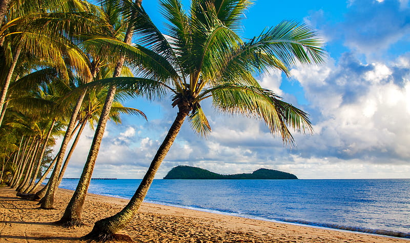 Cairns, Australia, exotic, tourism, ocean, travel, bonito, sky, palms, sea, beach, paradise, summer, Australia, sands, HD wallpaper