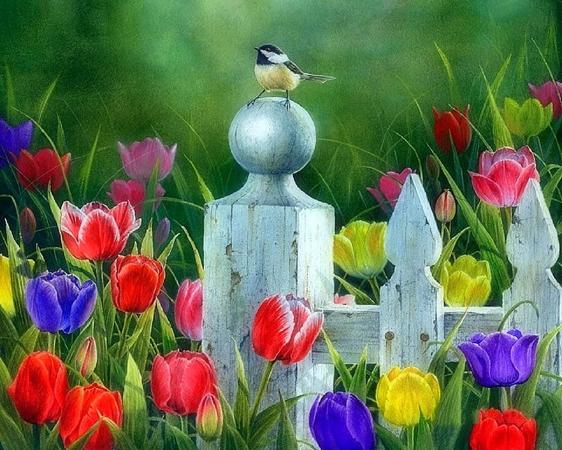Picket Fence Bouquet, fence, love four seasons, spring, paintings, bird, summer, flowers, garden, nature, tulips, animals, HD wallpaper