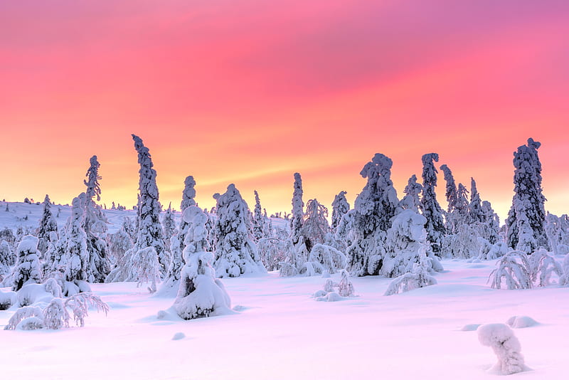 Earth, Winter, Snow, Sunset, HD wallpaper | Peakpx