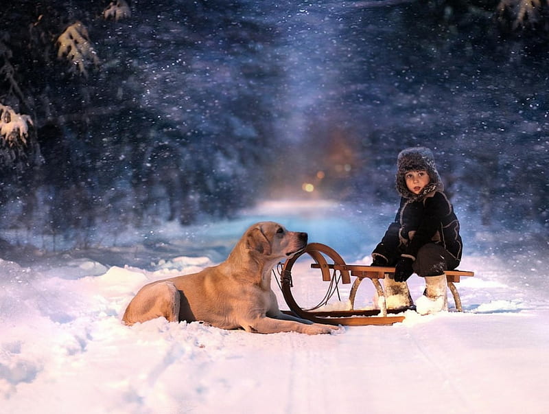 ❄ Best Friends ❄, Snow, Dog, Sled, Child, HD wallpaper