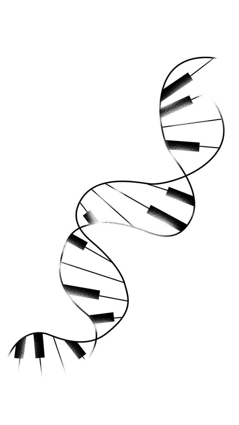 DNA Piano, music, HD phone wallpaper | Peakpx