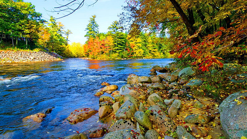 Beautiful Colorful Autumn River Foliage Nature, HD wallpaper | Peakpx