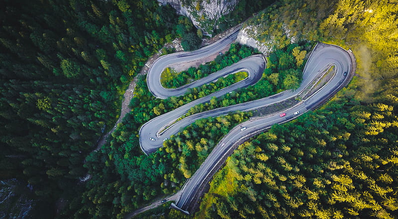 aerial view of road in the middle of forest, HD wallpaper