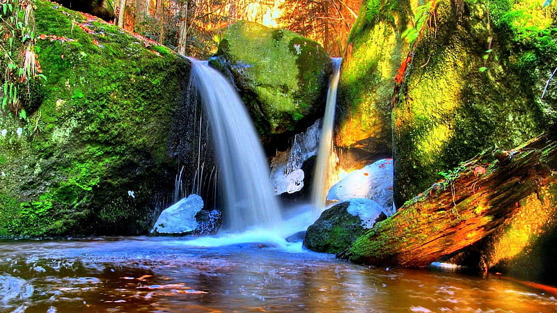 Waterfalls Between Green Algae Covered Rocks Pouring On River Forest ...