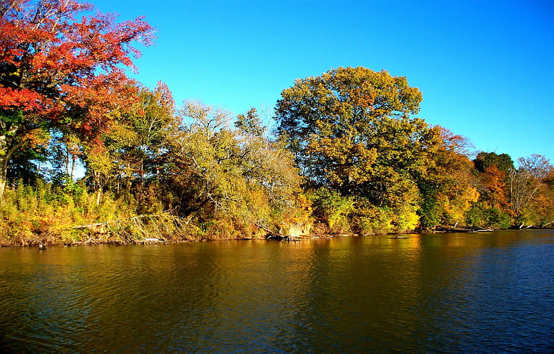 Cumberland River, autumn, water, cumberland, river, trees, blue, HD wallpaper