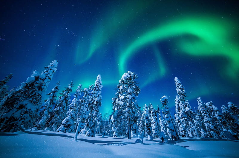 Winter, Lapland, snow, Northern lights, Finland, trees, sky, HD wallpaper