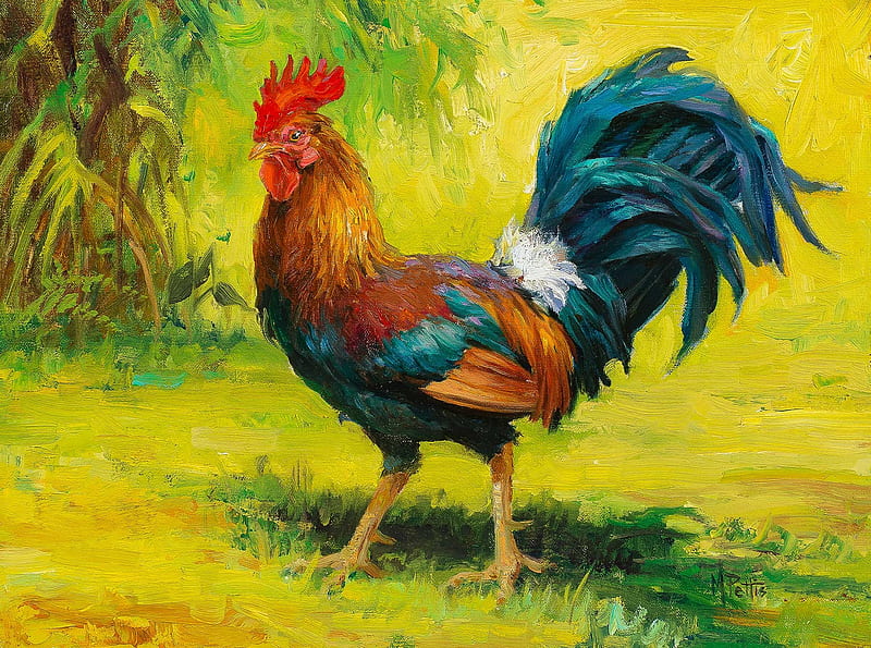 So fancy, bird, feather, cocos, pasari, art, rooster, colorful, mary pettis, country, painting, pictura, HD wallpaper