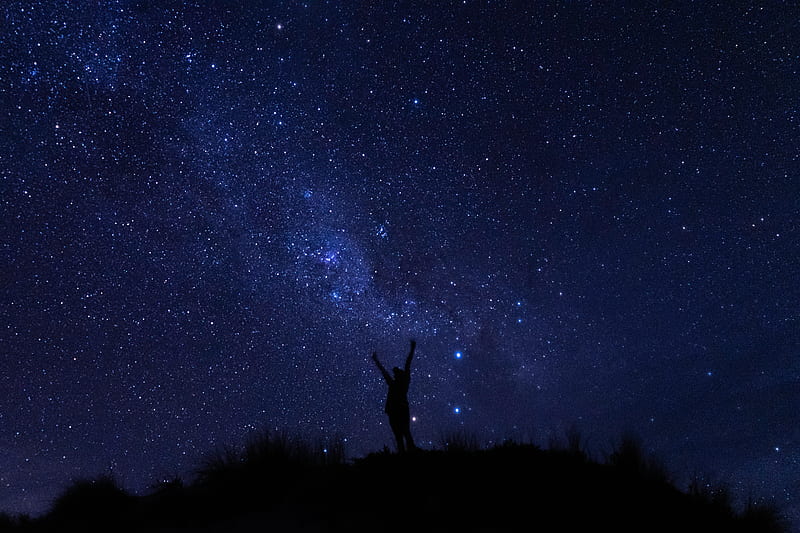 silhouette, starry sky, night, dark, HD wallpaper