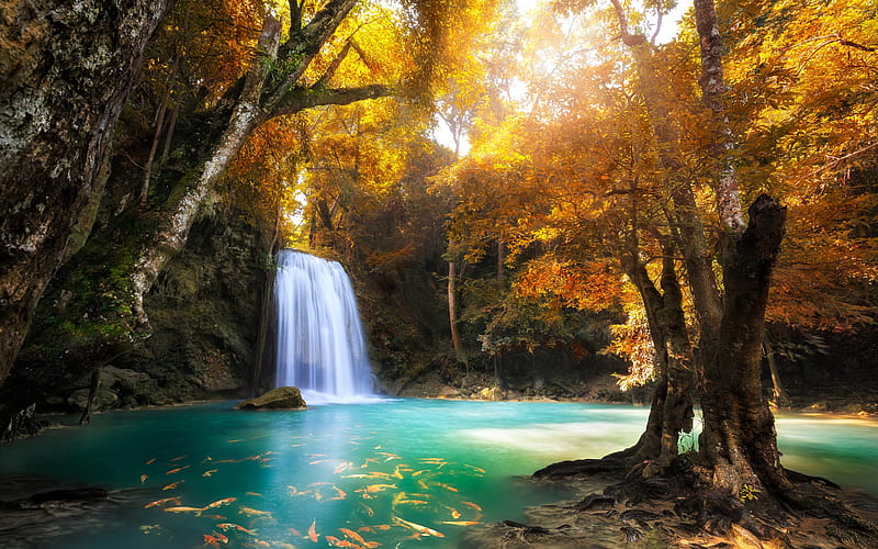 waterfall, autumn landscape, blue lake, yellow trees, koi carps, yellow leaves, Thailand, HD wallpaper