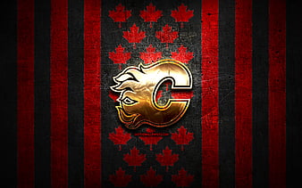 North Bay Battalion Hockey Club Brampton Battalion 2017–18 OHL season  Powassan Voodoos, Captain Morgan, text, logo, signage png