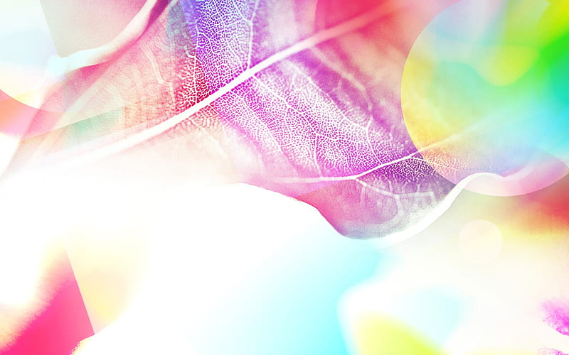 Colorful leaves under the sun-abstract design background glare 02, HD wallpaper