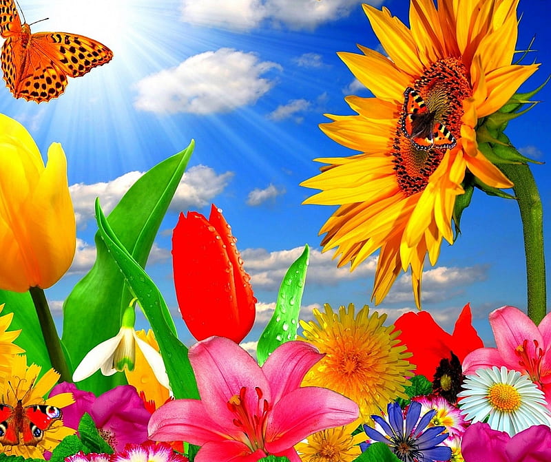 960x800px, butterfly, colorful, flowers, garden, meadow, sky, spring, sun, HD wallpaper
