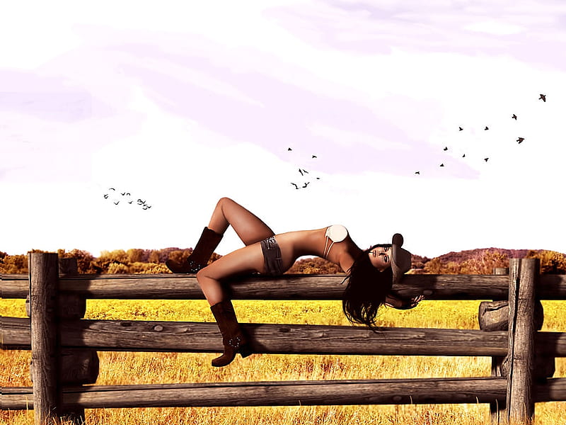 Out On A Fence.., fence, cowgirl, boots, outdoors, women, brunettes, anime, girls, art, hats, female, models, ranch, fun, fashion, western, style, HD wallpaper