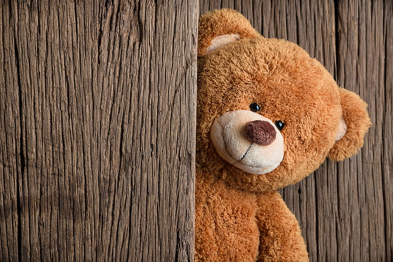 teddy bear, hug, love, message, toy, HD wallpaper