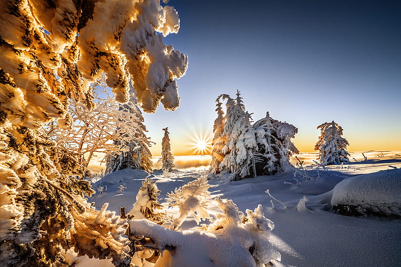 Earth, Winter, Landscape, Nature, Snow, Sun, Sunbeam, HD wallpaper