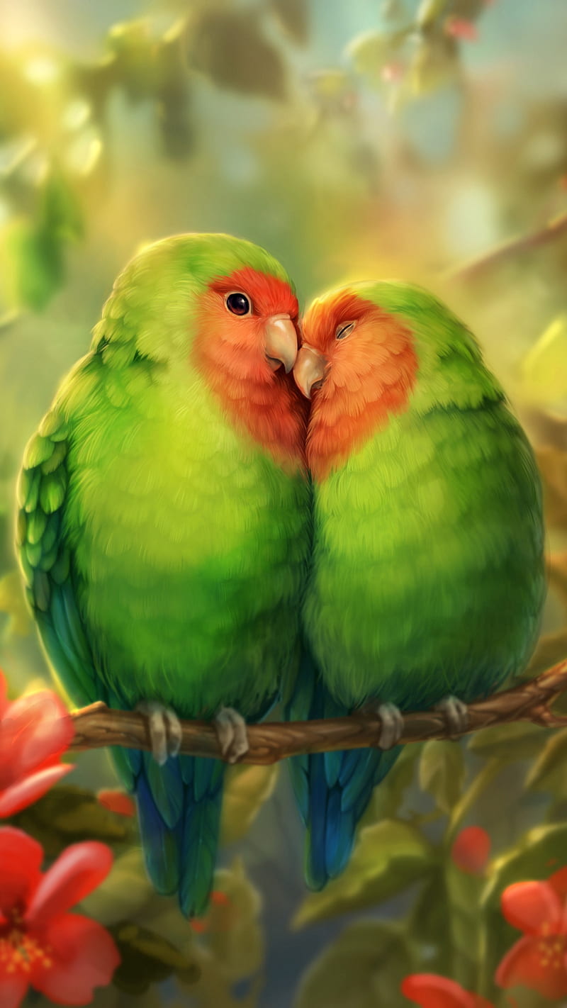 Love, bird, parrots, HD phone wallpaper